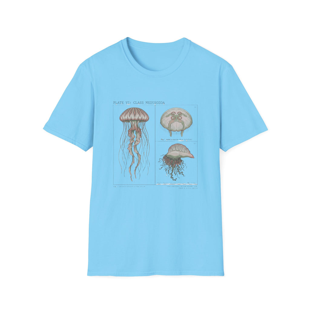 Vintage Jellyfish Illustration T-Shirt — Marine Biology Art Tee