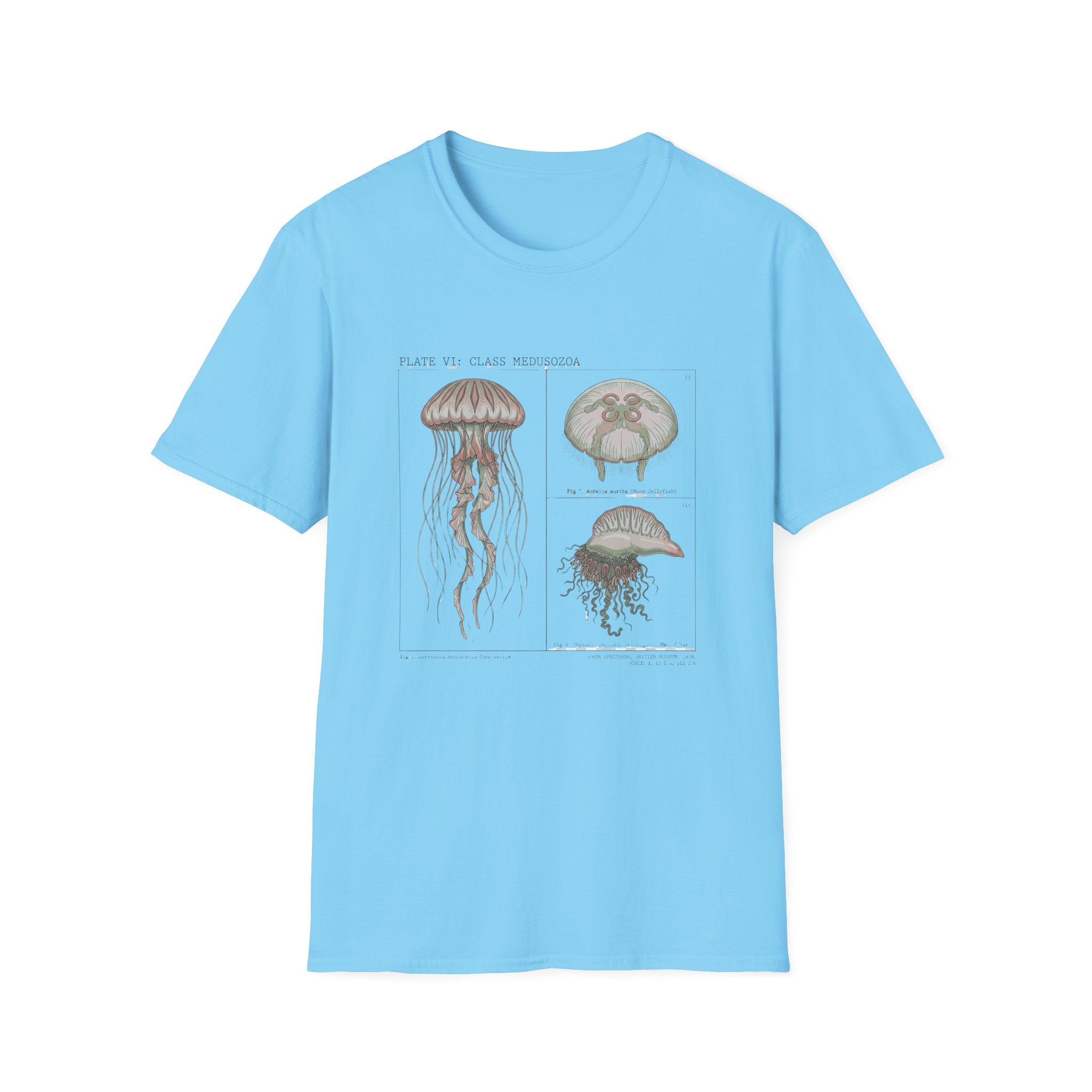 Vintage Jellyfish Illustration T-Shirt — Marine Biology Art Tee