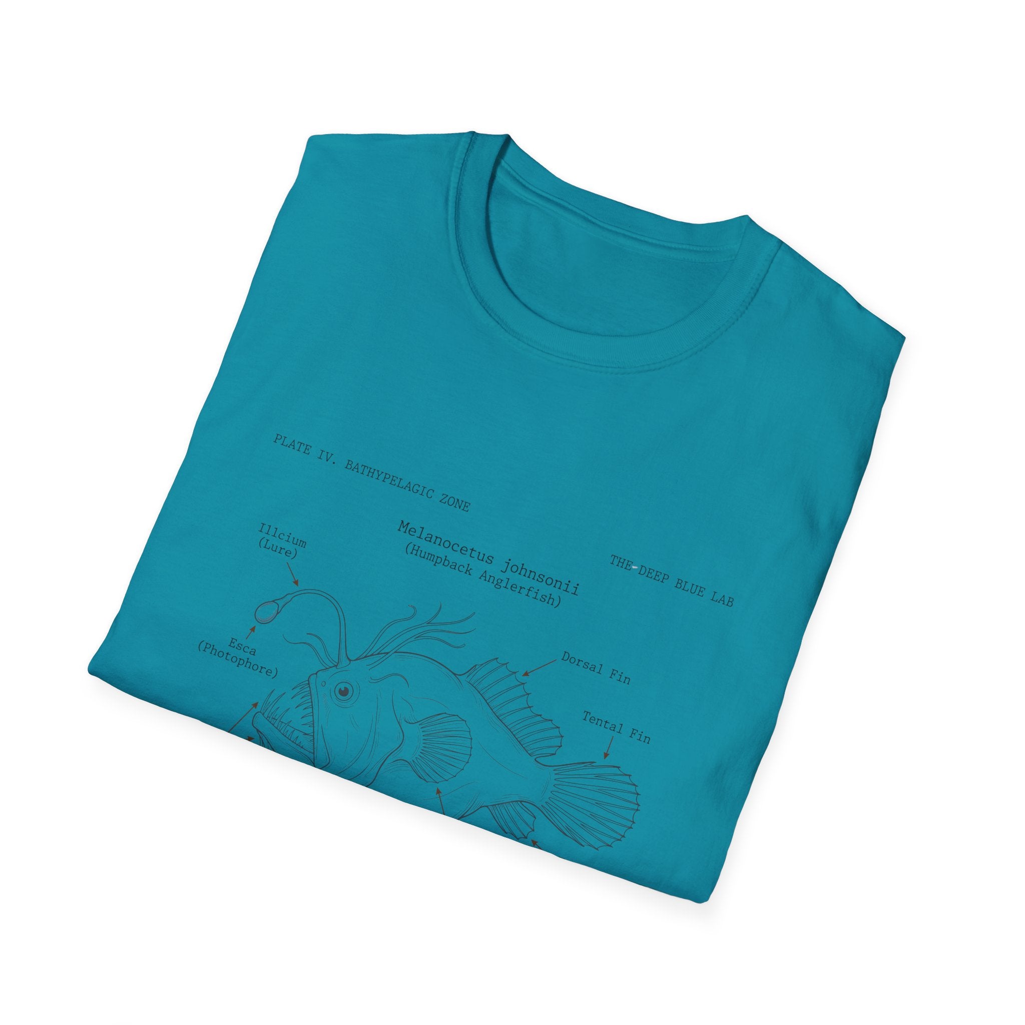 Anglerfish Anatomy Tee — Scientific Diagram Fish T-Shirt with “Anatomy of an Anglerfish” Design