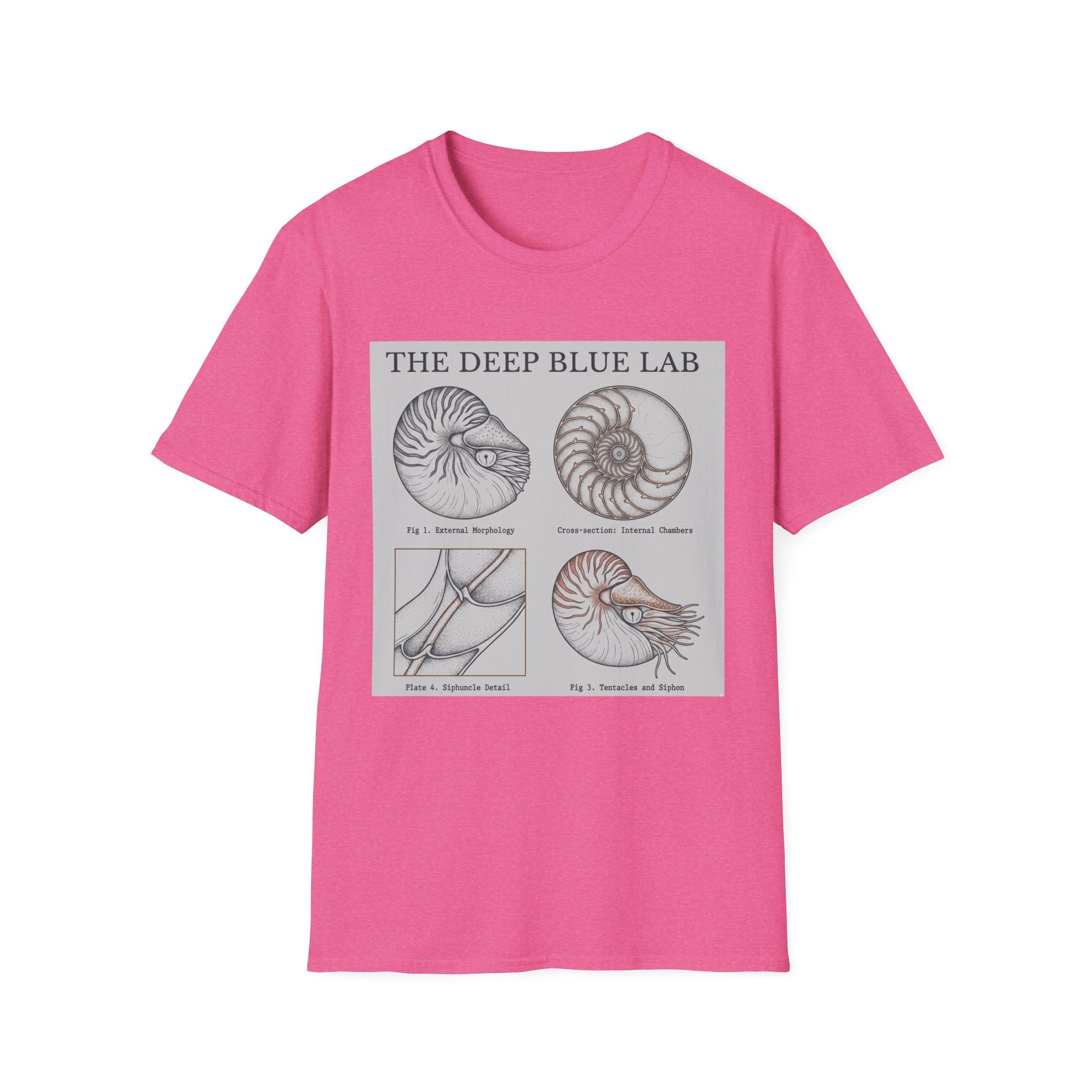 Nautilus Anatomy T-Shirt – The Deep Blue Lab Vintage Sea Life Tee