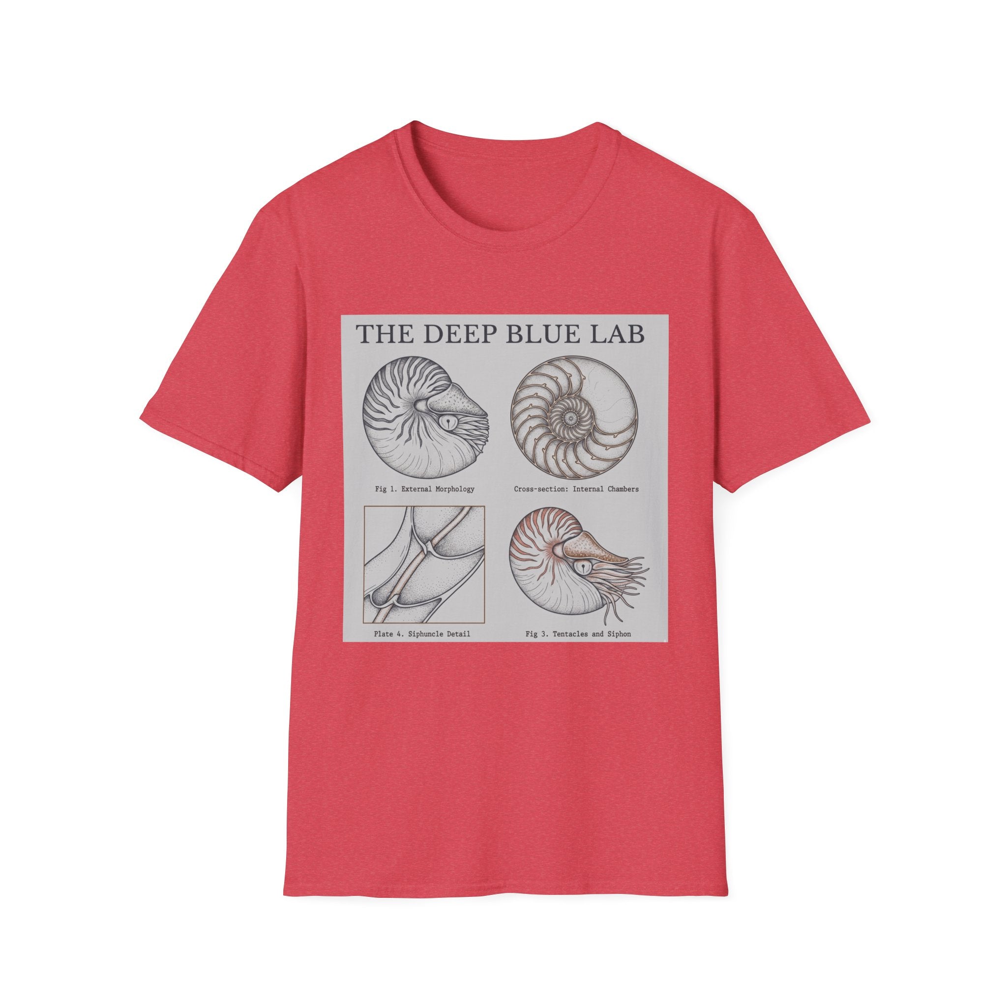 Nautilus Anatomy T-Shirt – The Deep Blue Lab Vintage Sea Life Tee