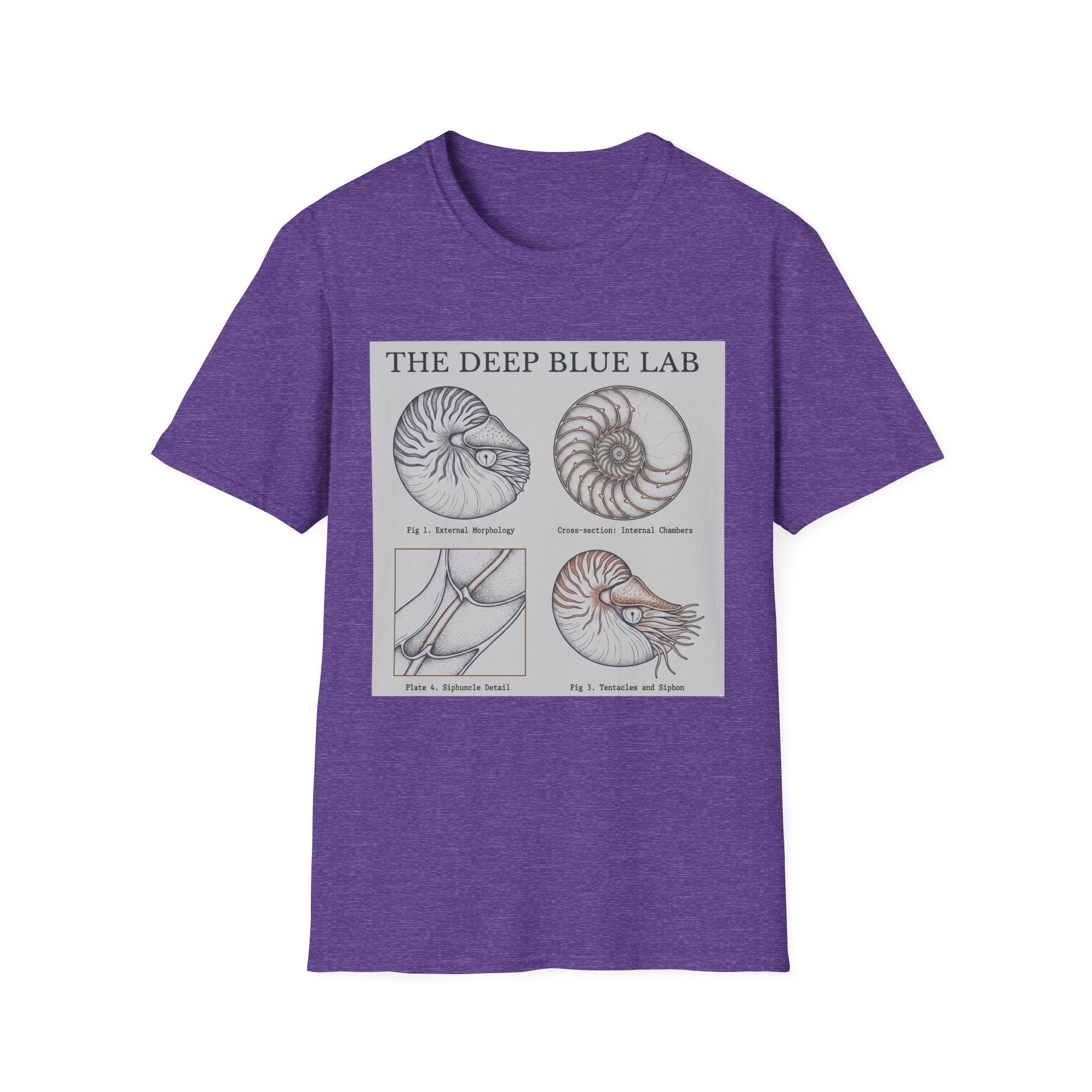 Nautilus Anatomy T-Shirt – The Deep Blue Lab Vintage Sea Life Tee