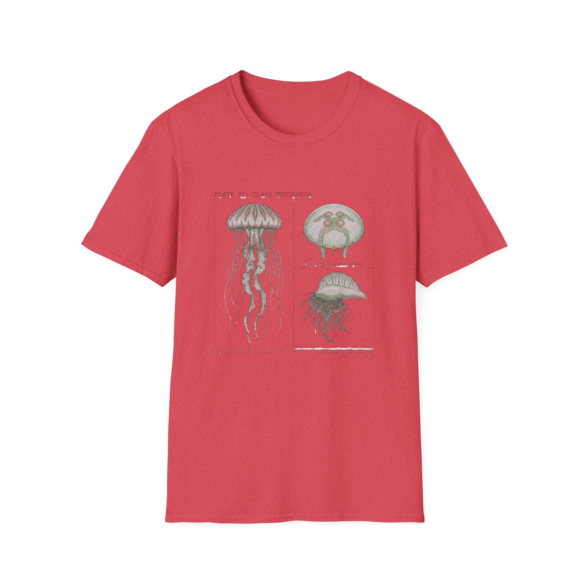 Vintage Jellyfish Illustration T-Shirt — Marine Biology Art Tee