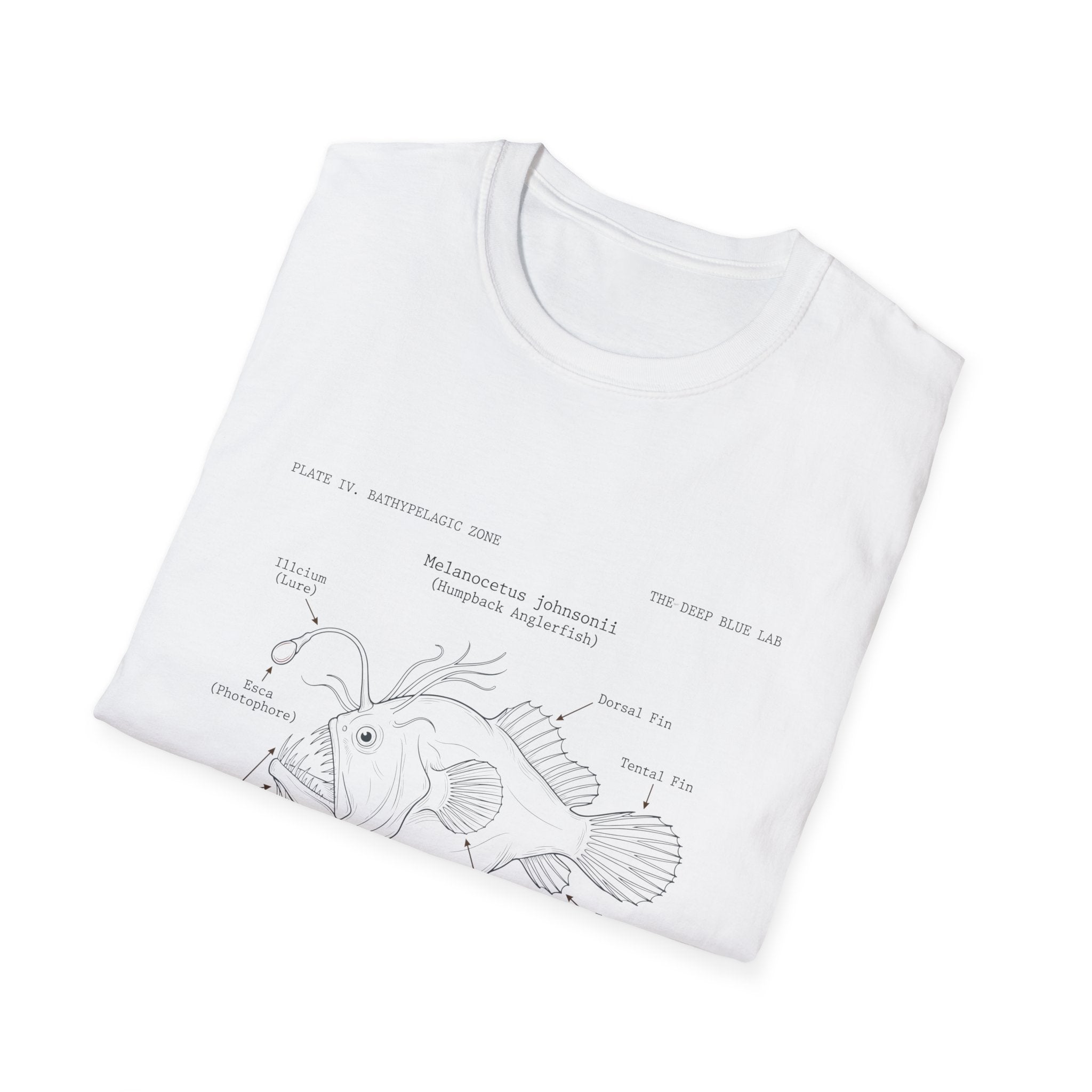 Anglerfish Anatomy Tee — Scientific Diagram Fish T-Shirt with “Anatomy of an Anglerfish” Design