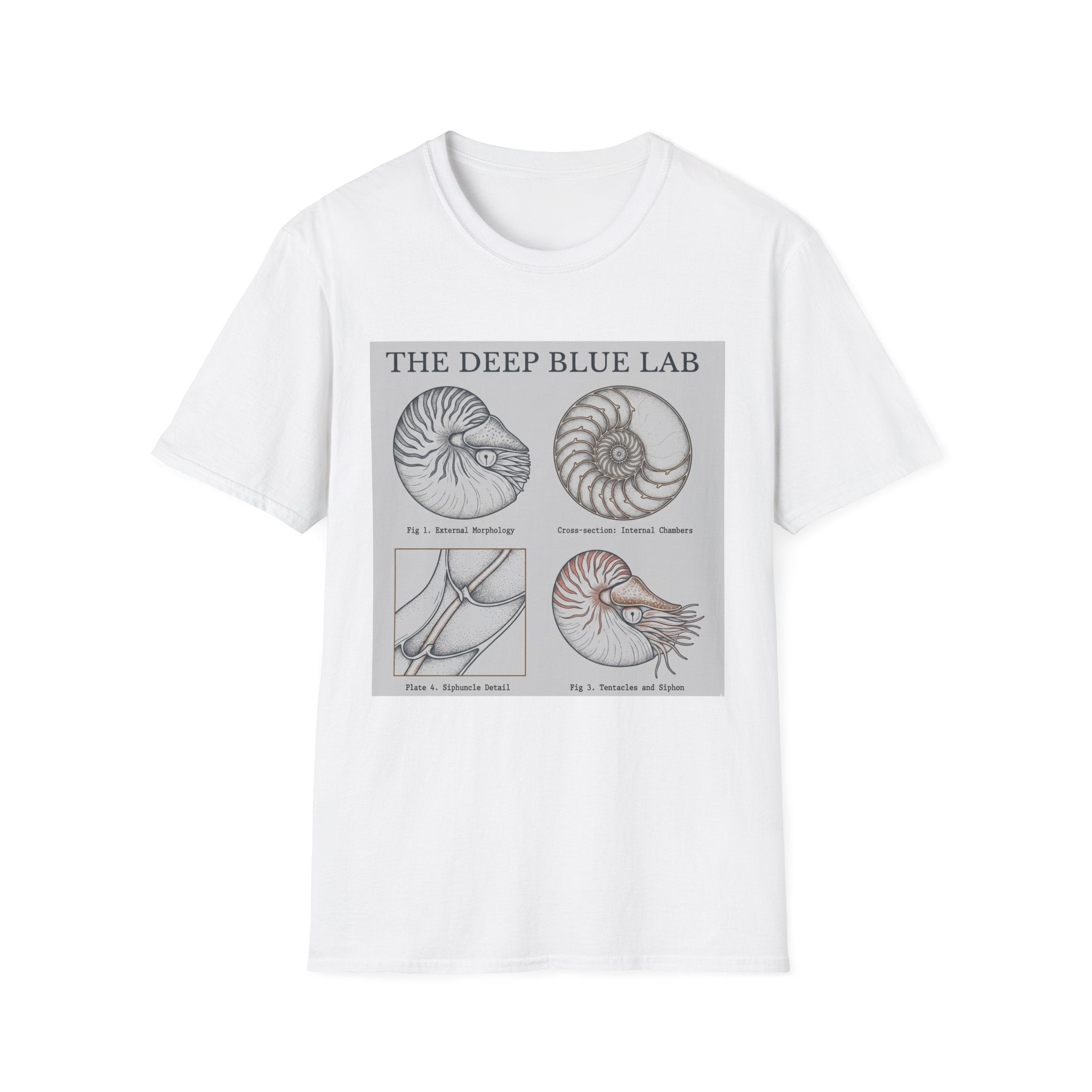 Nautilus Anatomy T-Shirt – The Deep Blue Lab Vintage Sea Life Tee