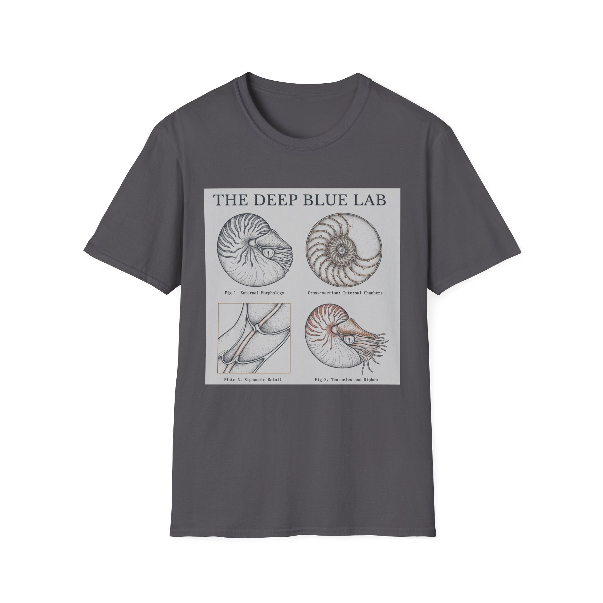 Nautilus Anatomy T-Shirt – The Deep Blue Lab Vintage Sea Life Tee