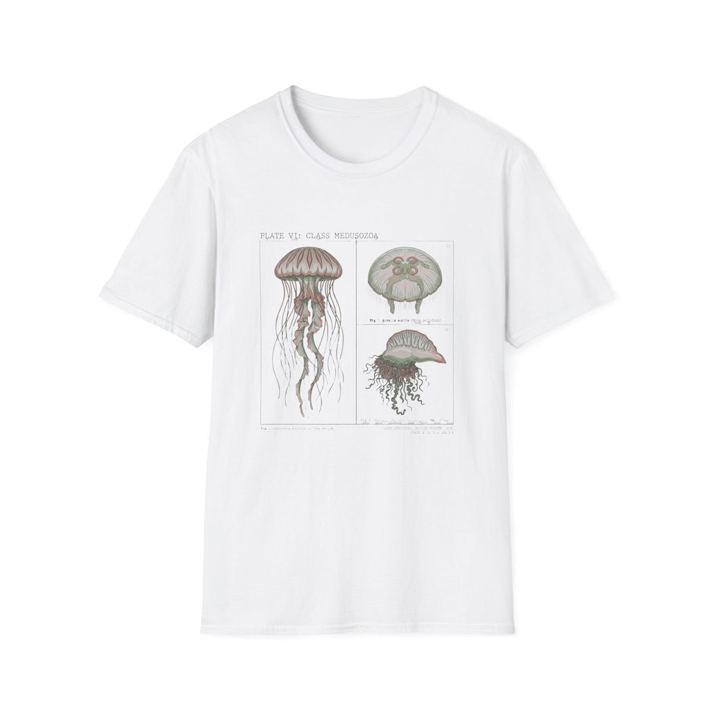 Vintage Jellyfish Illustration T-Shirt — Marine Biology Art Tee