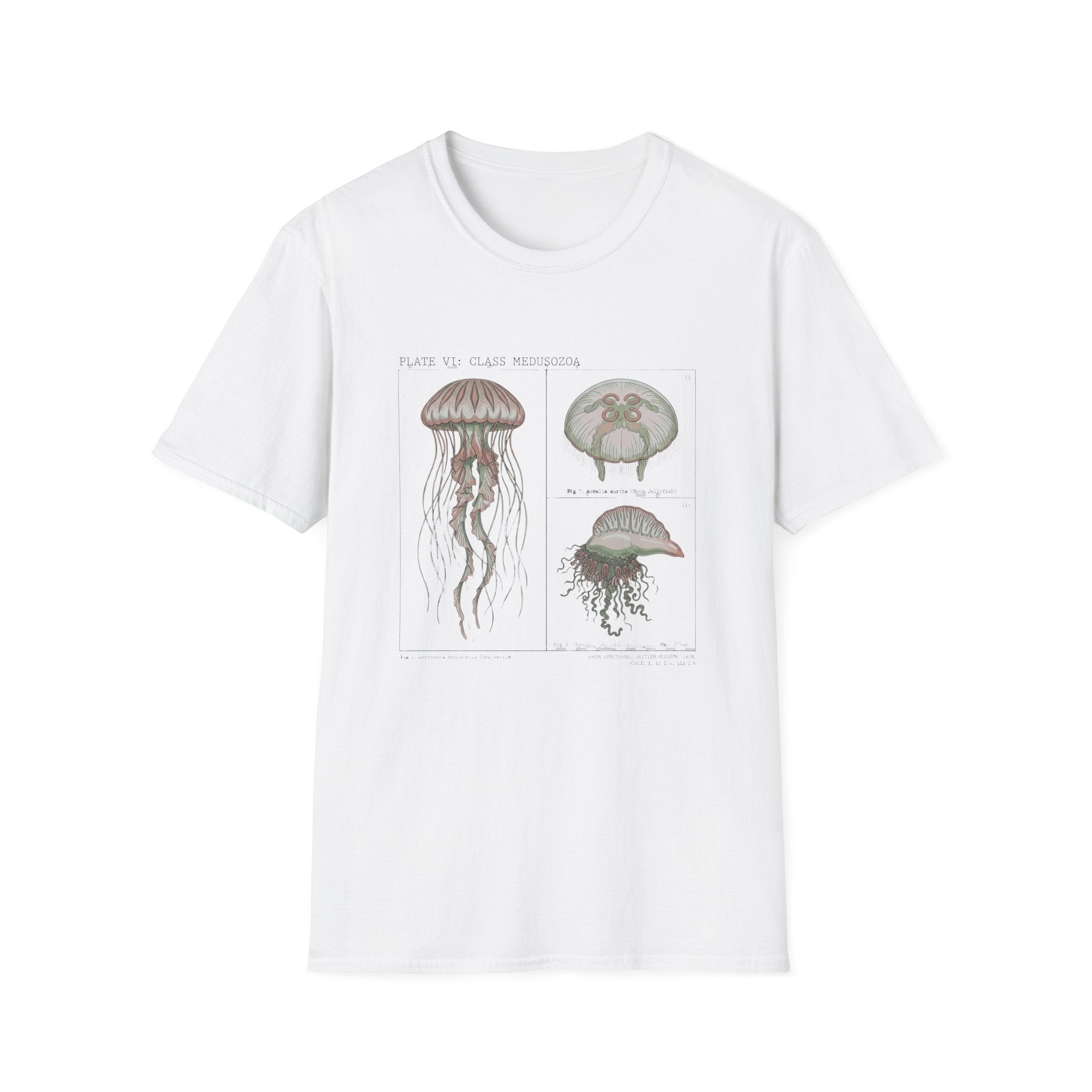 Vintage Jellyfish Illustration T-Shirt — Marine Biology Art Tee