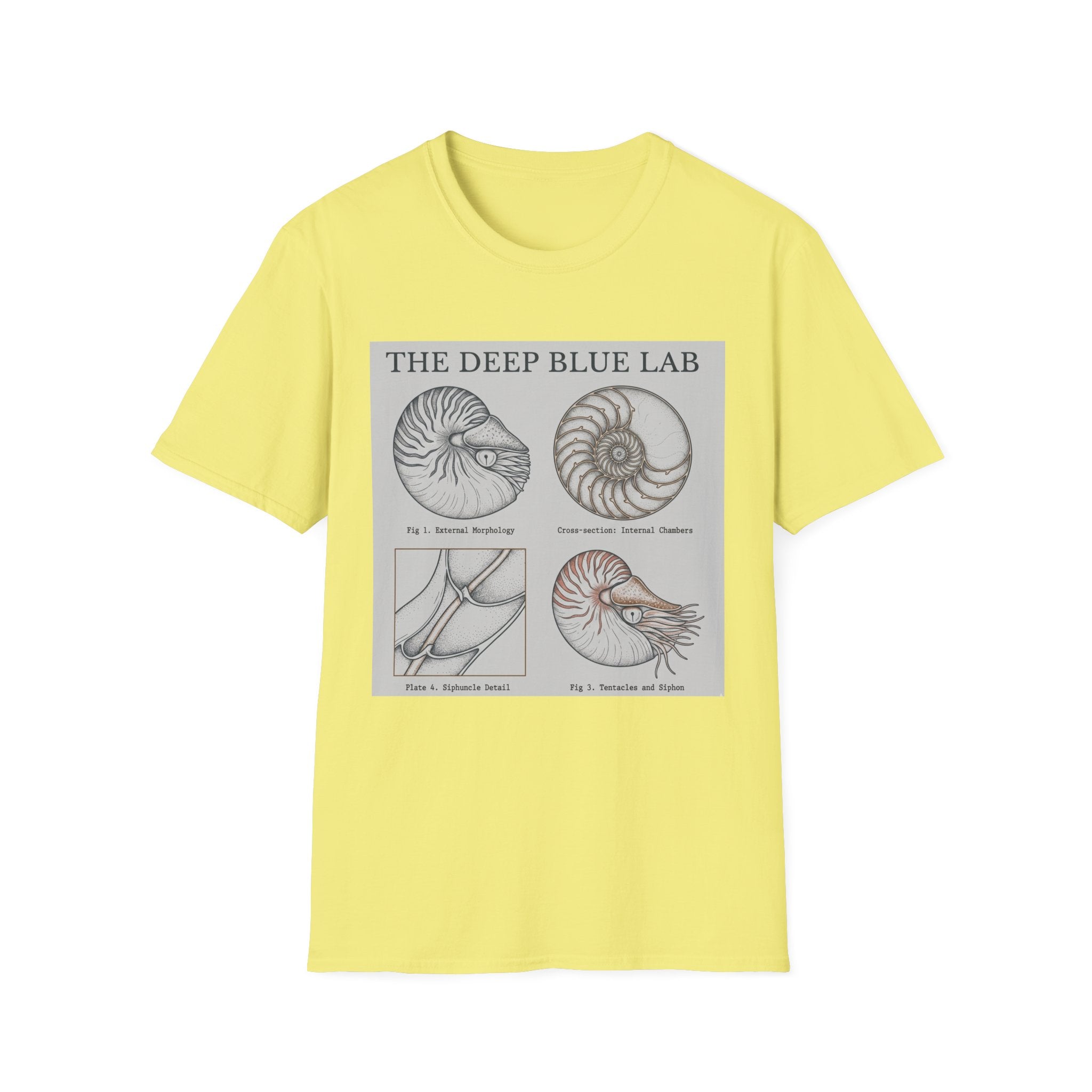 Nautilus Anatomy T-Shirt – The Deep Blue Lab Vintage Sea Life Tee