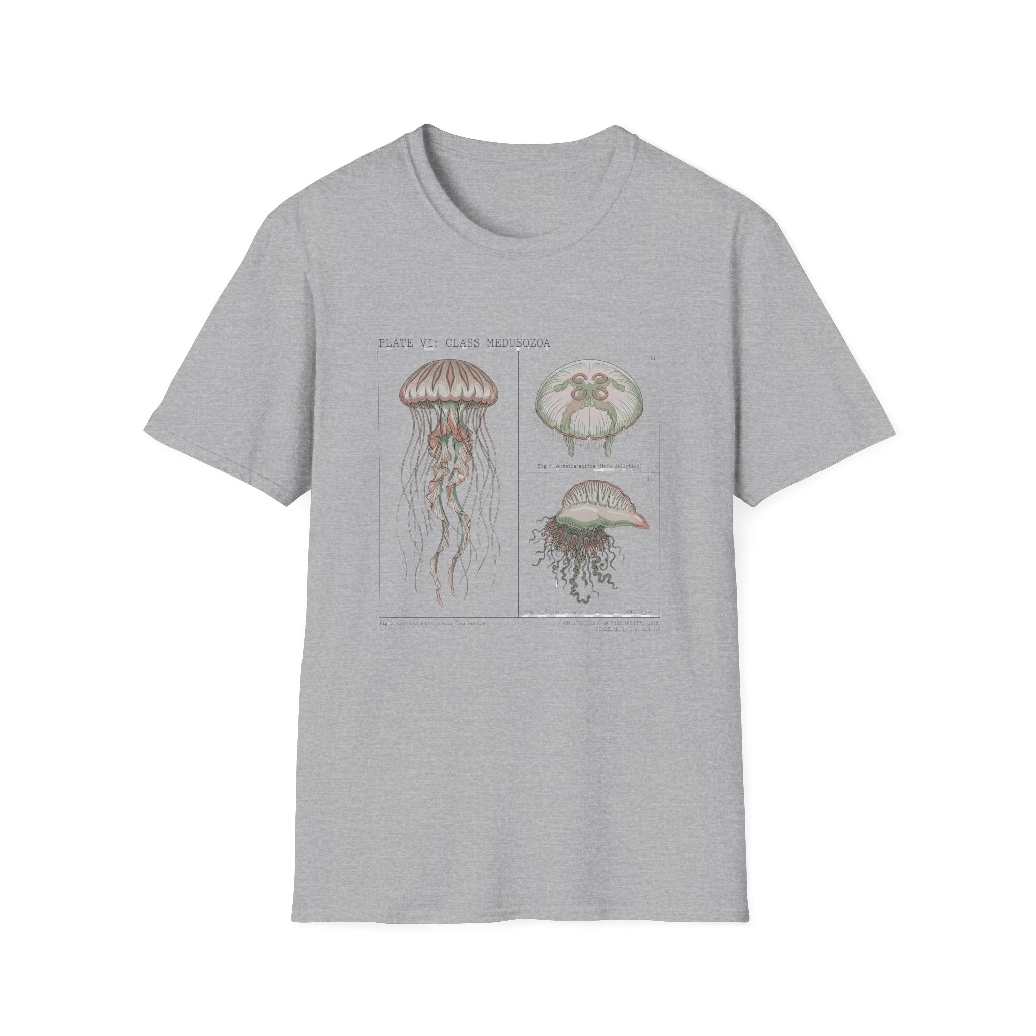 Vintage Jellyfish Illustration T-Shirt — Marine Biology Art Tee