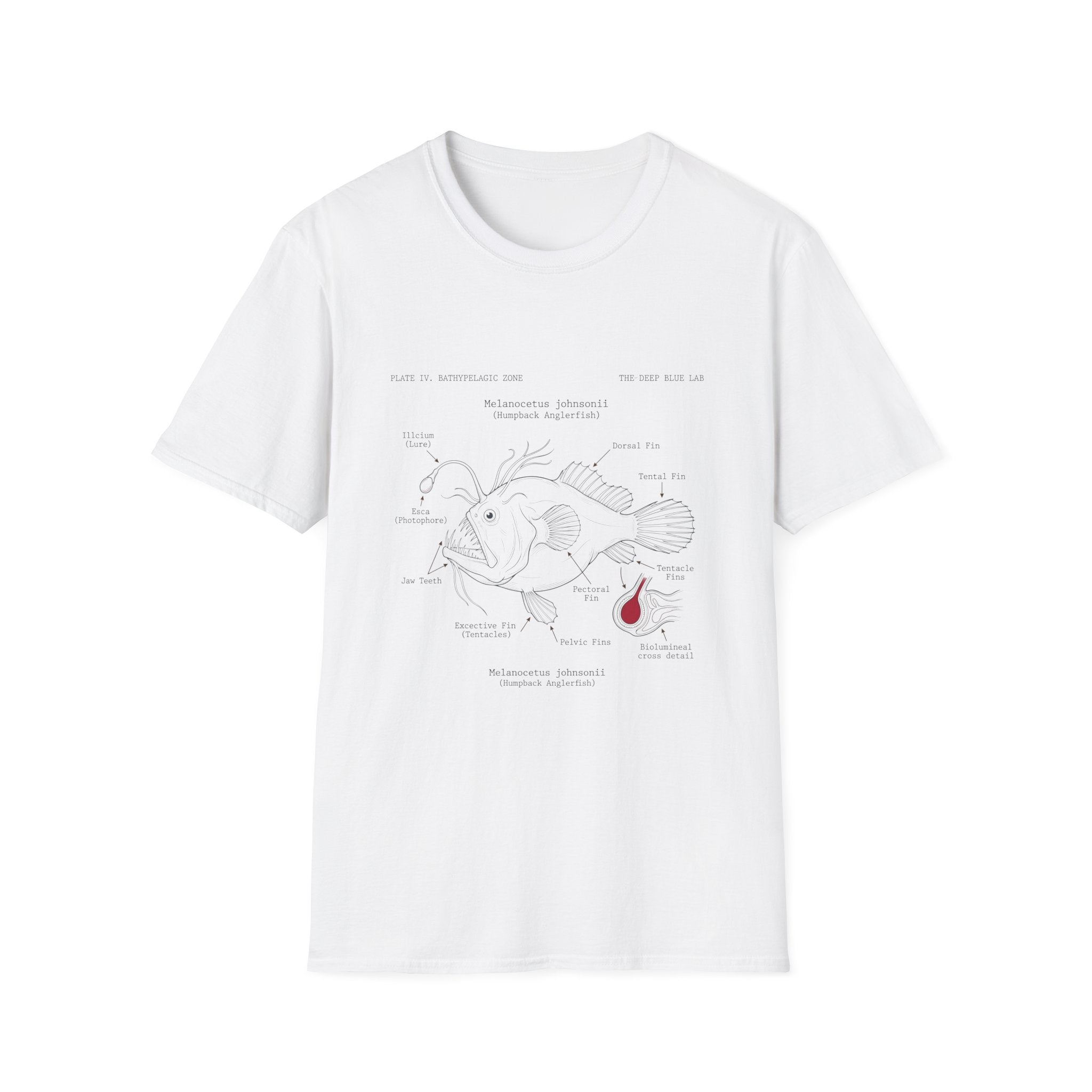 Anglerfish Anatomy Tee — Scientific Diagram Fish T-Shirt with “Anatomy of an Anglerfish” Design