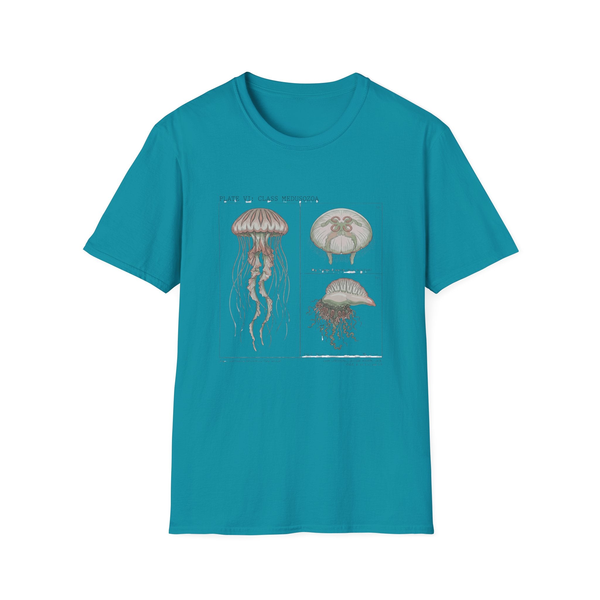 Vintage Jellyfish Illustration T-Shirt — Marine Biology Art Tee