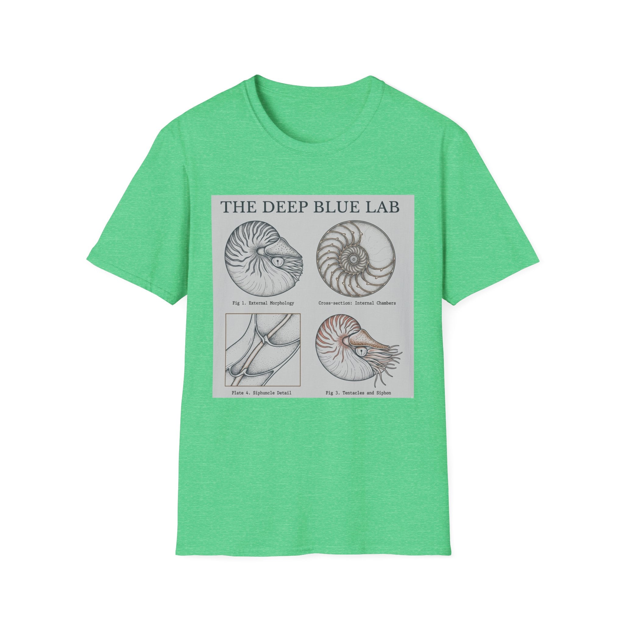 Nautilus Anatomy T-Shirt – The Deep Blue Lab Vintage Sea Life Tee