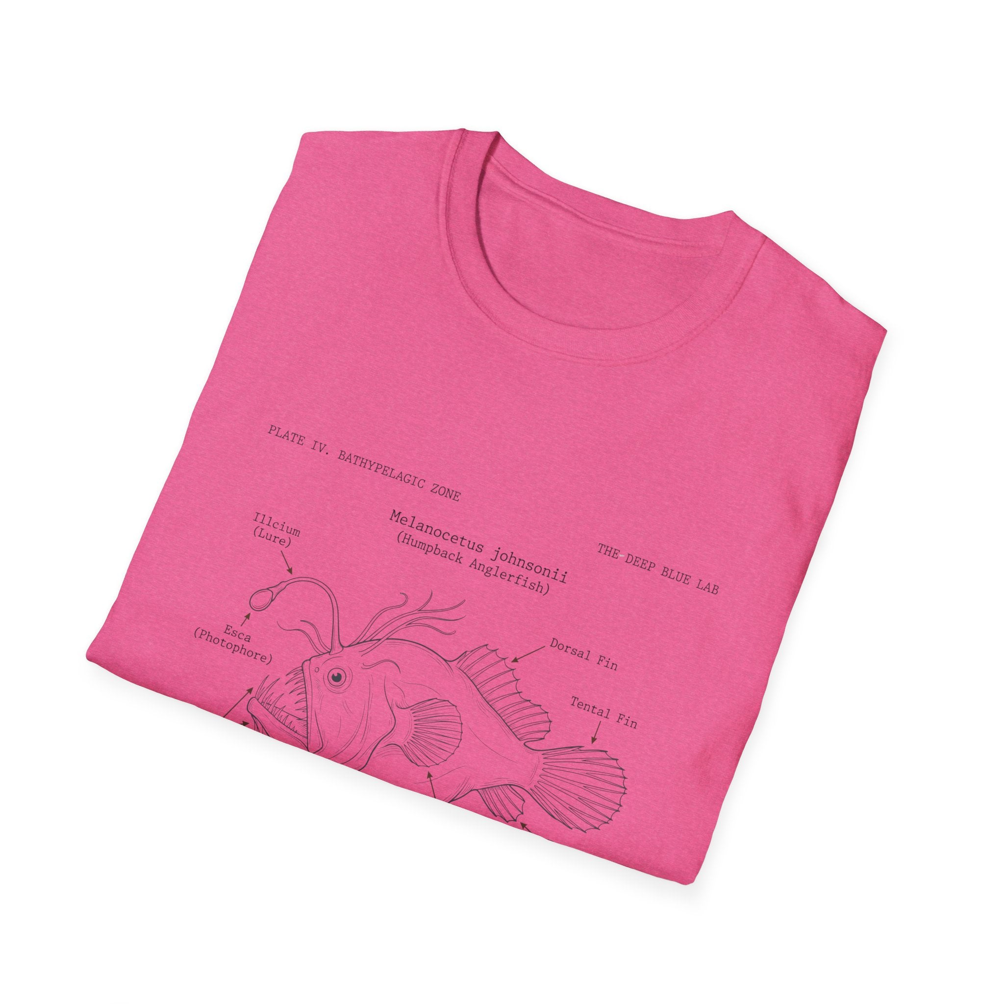 Anglerfish Anatomy Tee — Scientific Diagram Fish T-Shirt with “Anatomy of an Anglerfish” Design