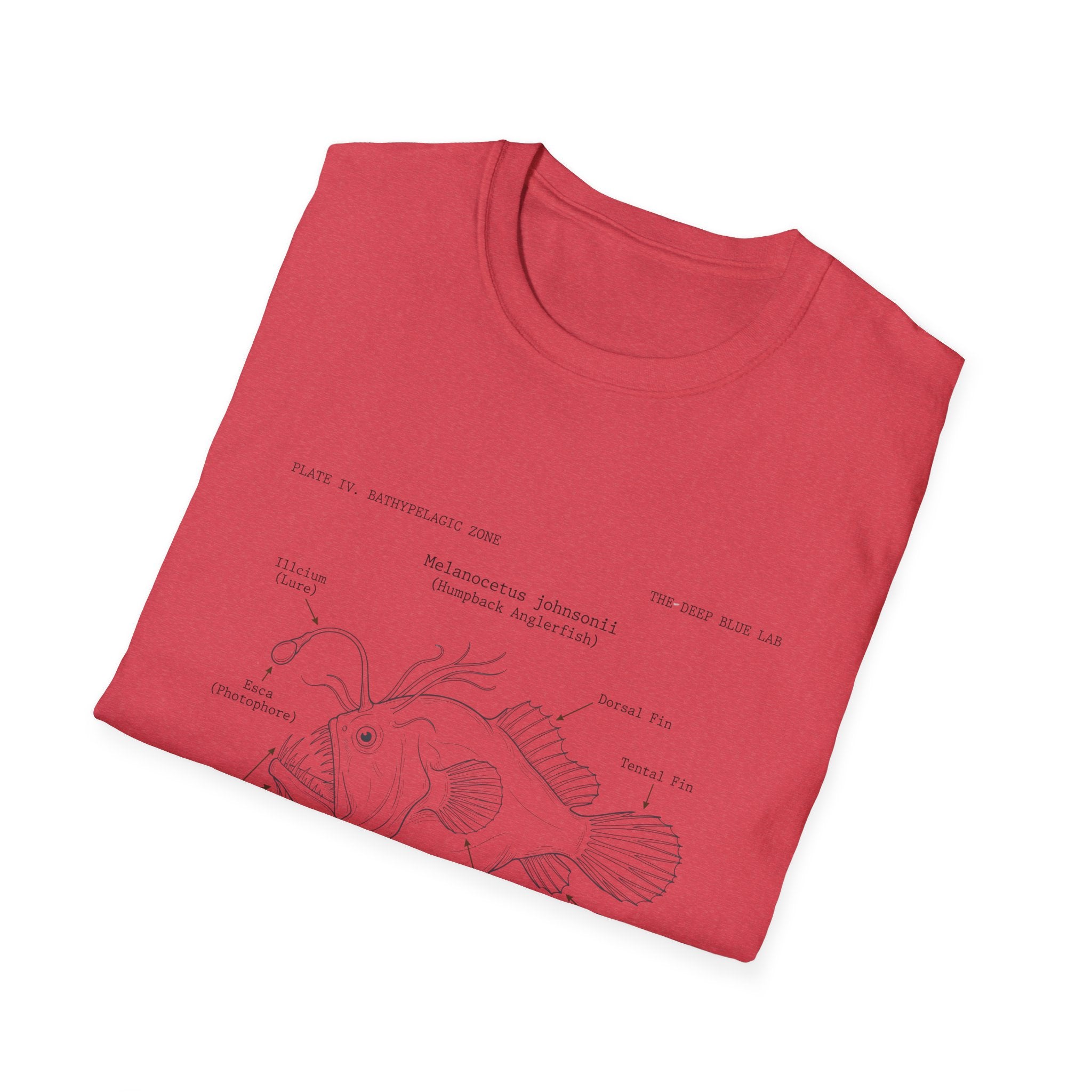Anglerfish Anatomy Tee — Scientific Diagram Fish T-Shirt with “Anatomy of an Anglerfish” Design