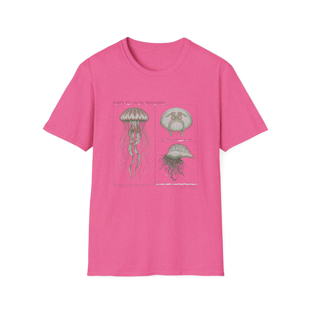 Vintage Jellyfish Illustration T-Shirt — Marine Biology Art Tee