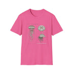 Vintage Jellyfish Illustration T-Shirt — Marine Biology Art Tee