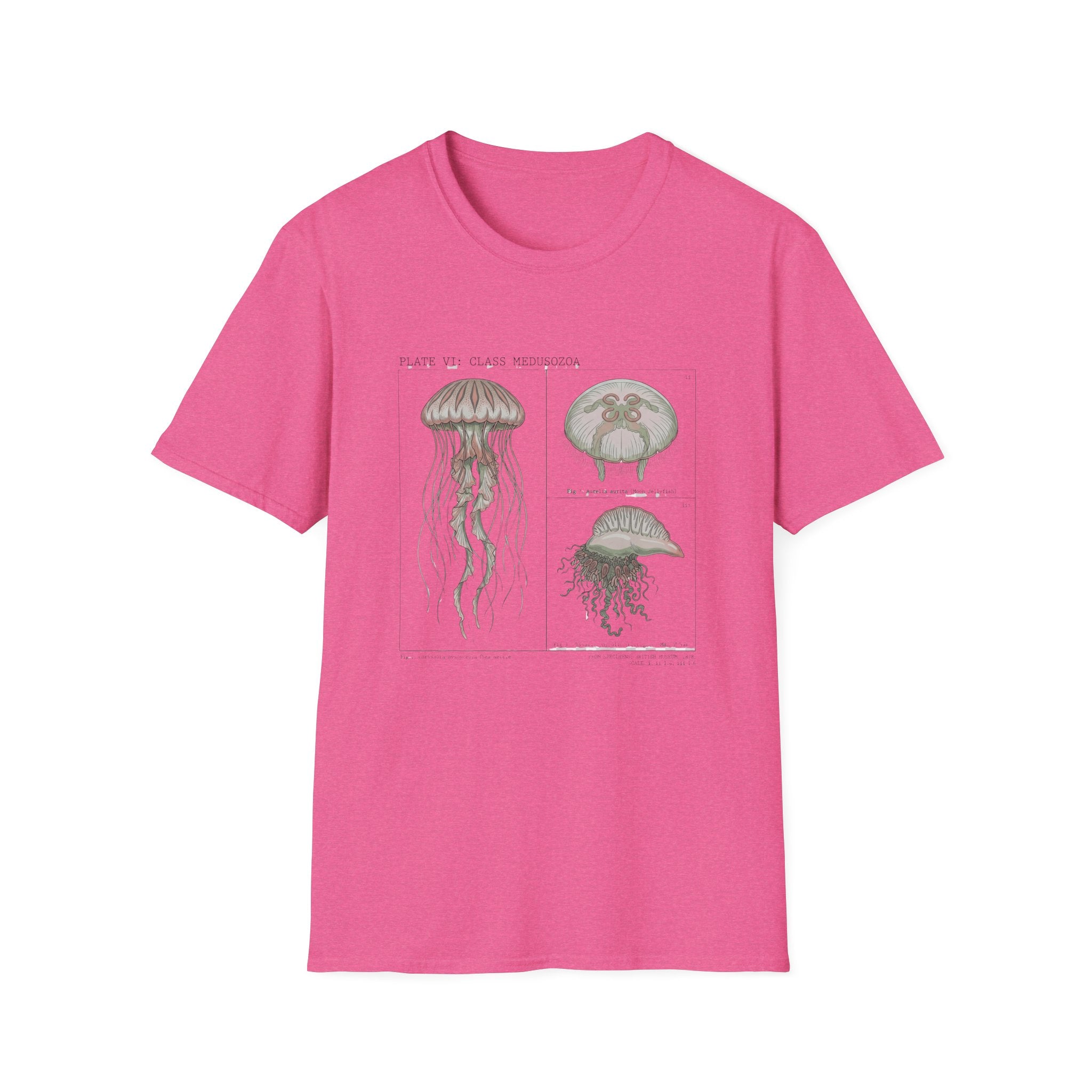Vintage Jellyfish Illustration T-Shirt — Marine Biology Art Tee