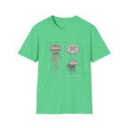 Vintage Jellyfish Illustration T-Shirt — Marine Biology Art Tee
