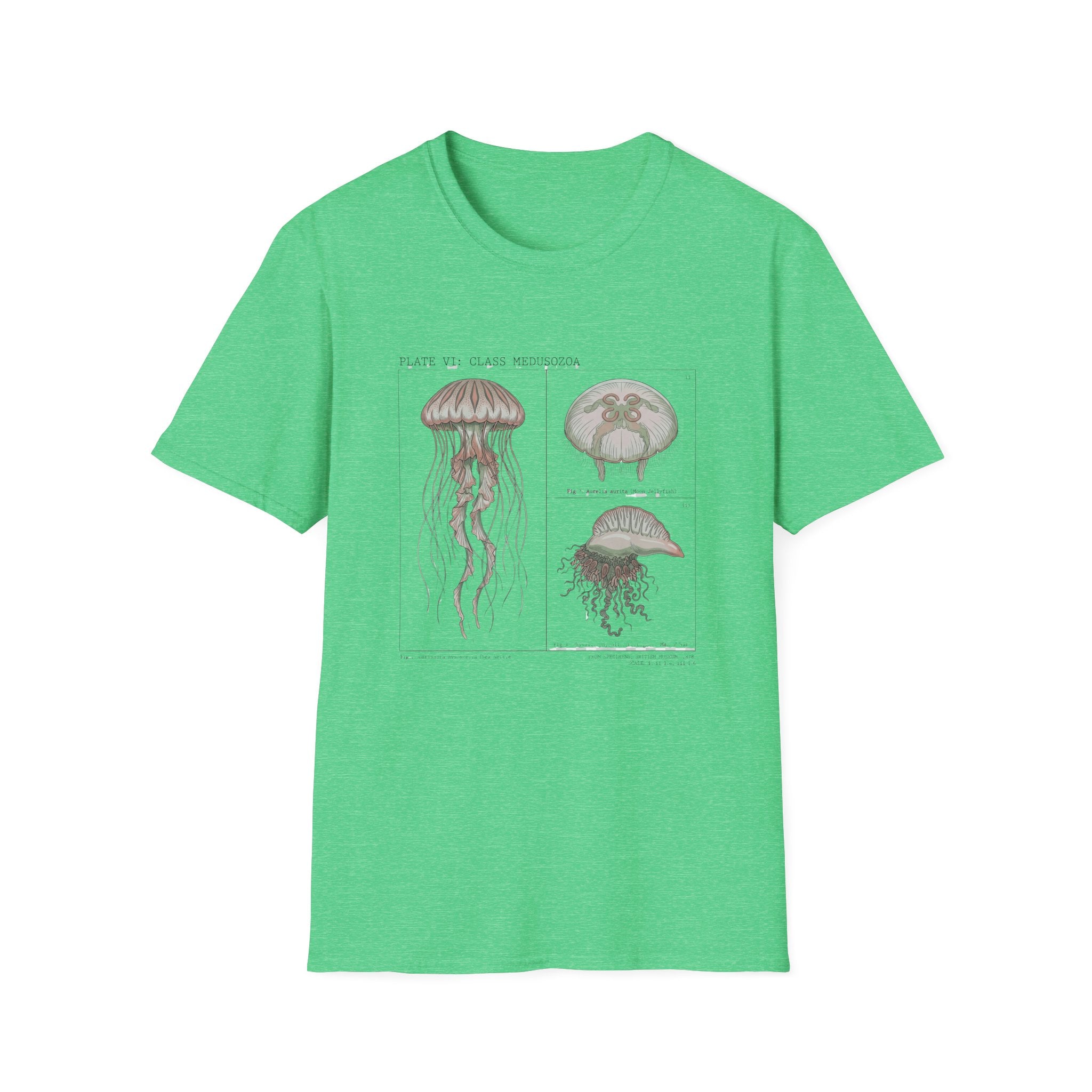 Vintage Jellyfish Illustration T-Shirt — Marine Biology Art Tee