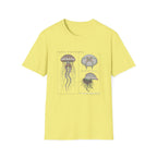 Vintage Jellyfish Illustration T-Shirt — Marine Biology Art Tee