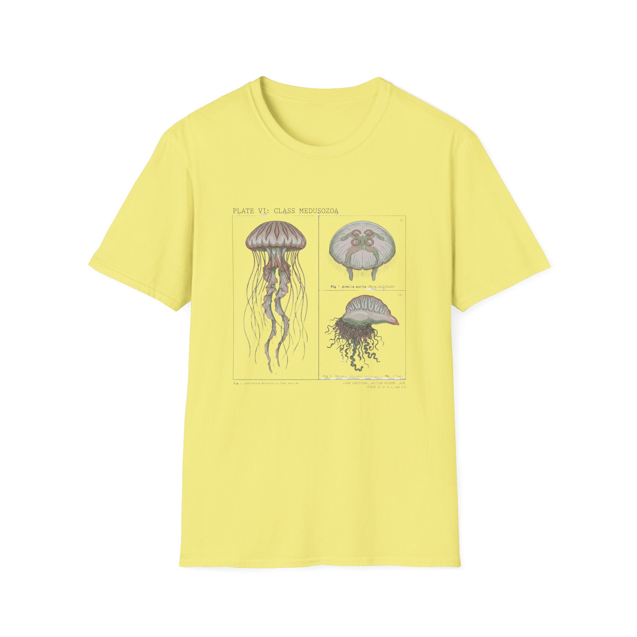 Vintage Jellyfish Illustration T-Shirt — Marine Biology Art Tee
