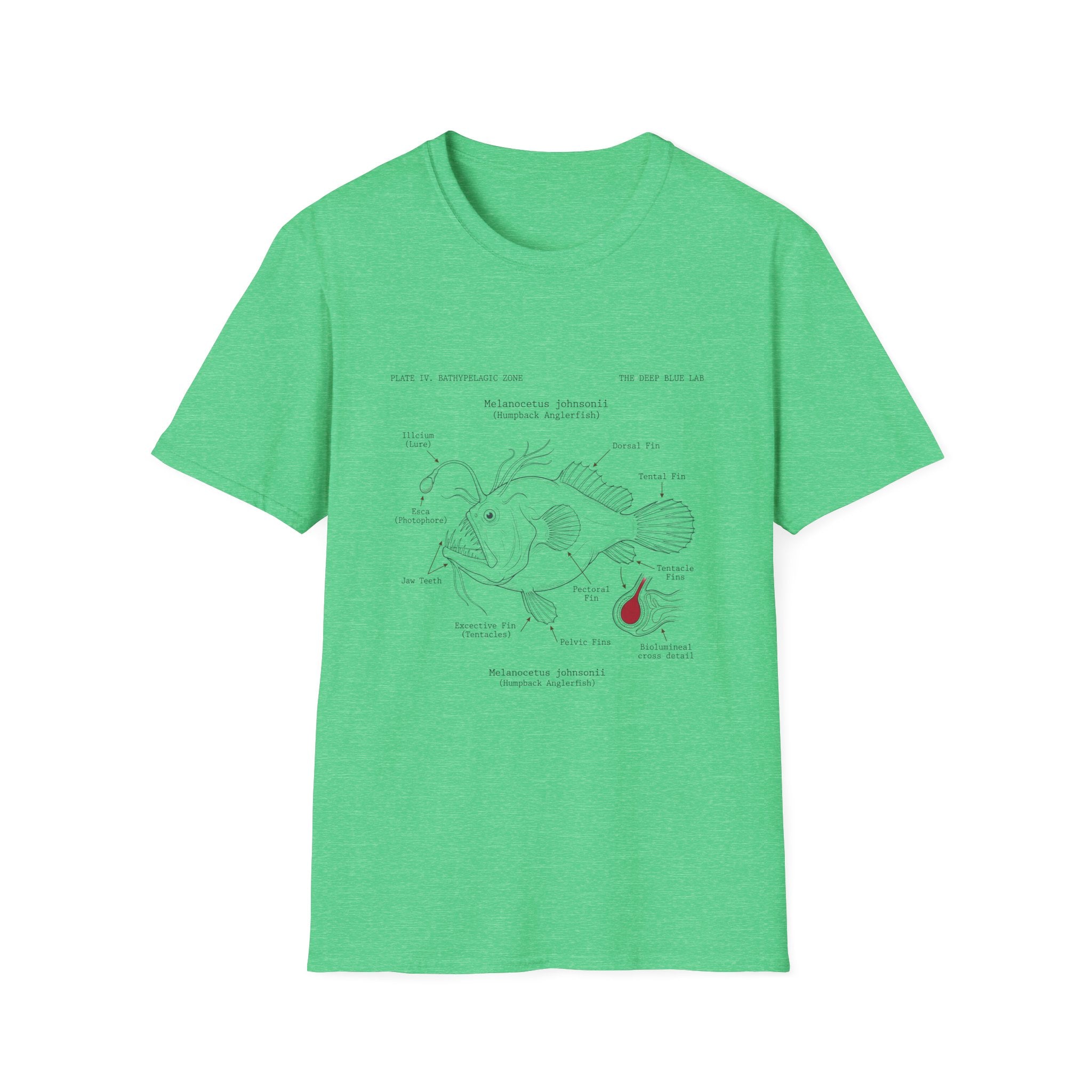 Anglerfish Anatomy Tee — Scientific Diagram Fish T-Shirt with “Anatomy of an Anglerfish” Design
