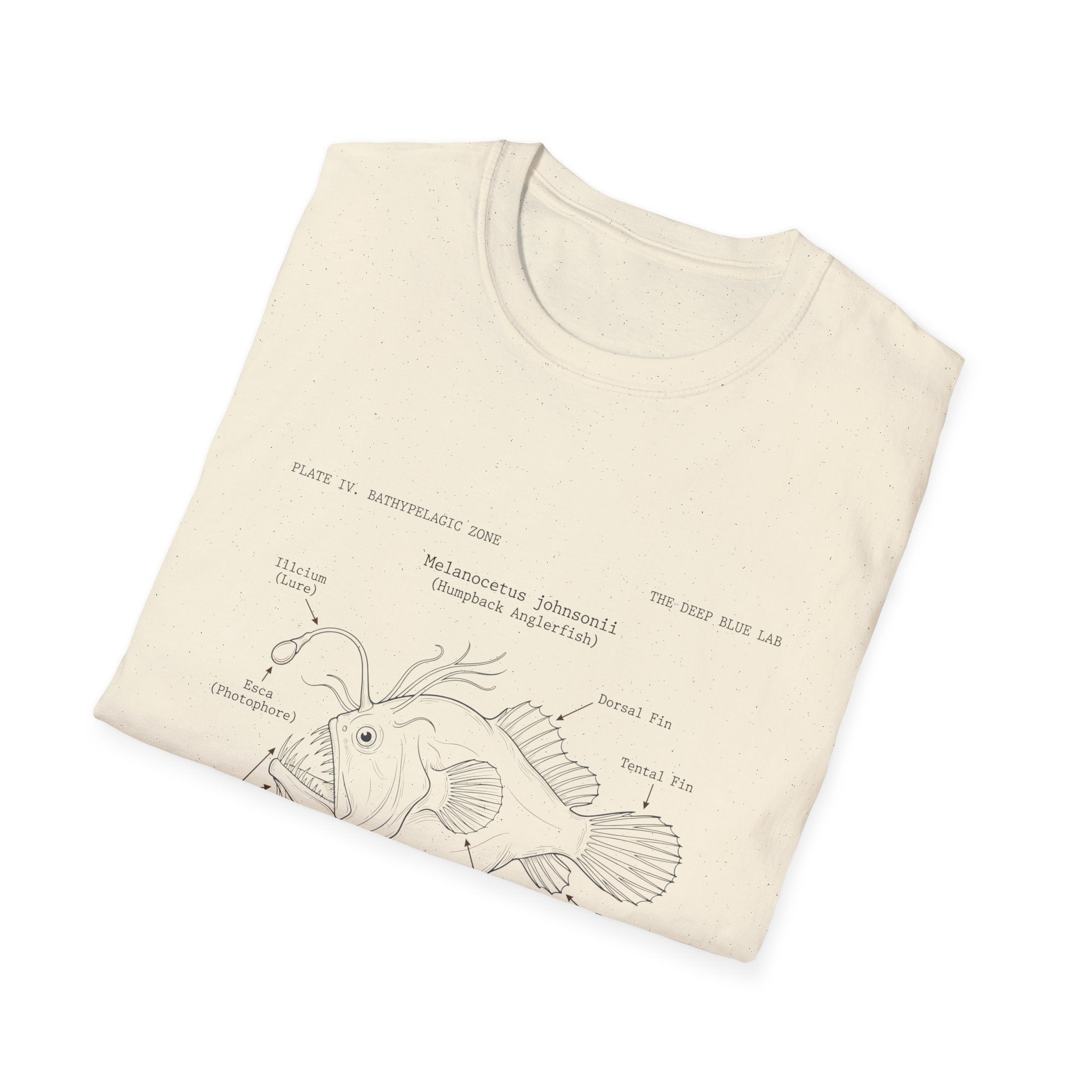 Anglerfish Anatomy Tee — Scientific Diagram Fish T-Shirt with “Anatomy of an Anglerfish” Design