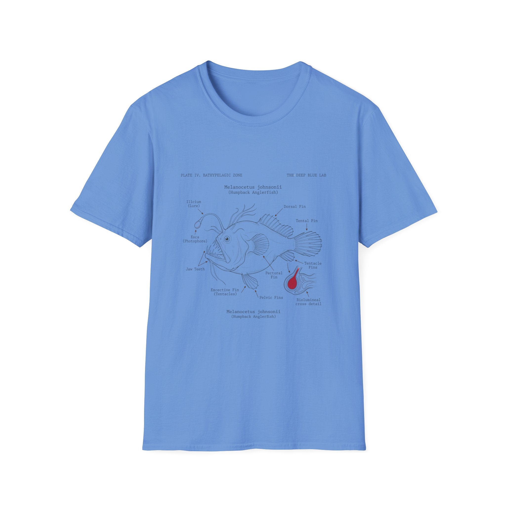Anglerfish Anatomy Tee — Scientific Diagram Fish T-Shirt with “Anatomy of an Anglerfish” Design