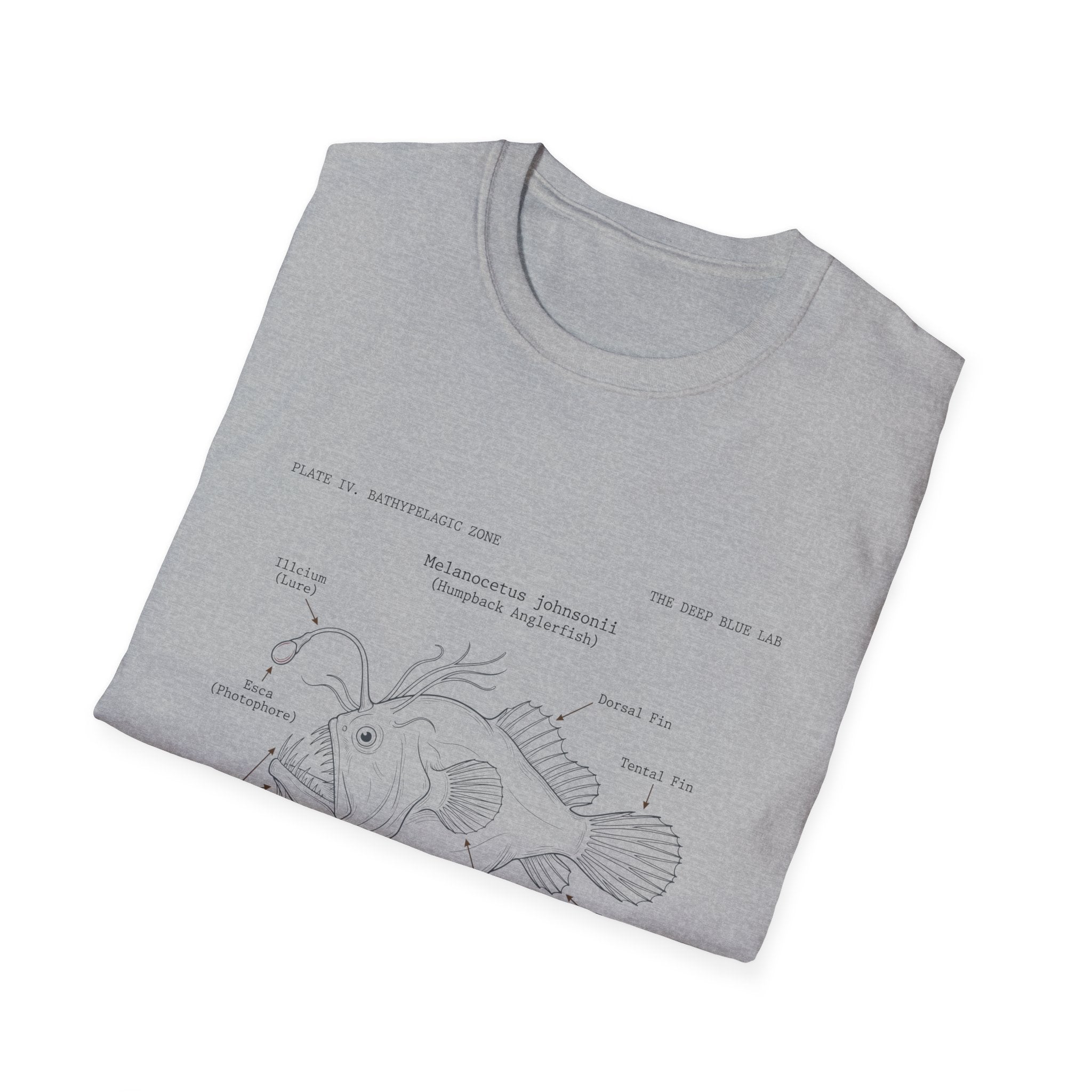 Anglerfish Anatomy Tee — Scientific Diagram Fish T-Shirt with “Anatomy of an Anglerfish” Design